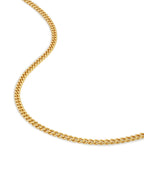 Curb Chain Necklace, 3MM - 14K Gold