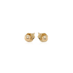 14k Yellow Gold Polished Round Stud Earrings