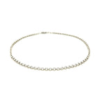 2.3mm 10k White Gold Rolo Anklet