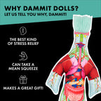 The Anatomy Doll