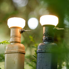 LAMP-1 Lantern Light