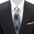 Disney Mickey Mouse Blue Plaid Mens Tie
