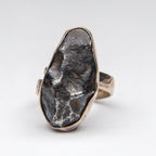 Genuine Campo Del Cielo Meteorite Sterling Silver Adjustable Ring