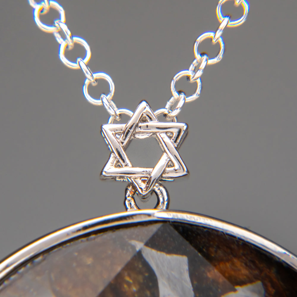 Sericho Pallasite Meteorite Star of David Large Pendant (29.7 grams) with 18" Sterling Silver Chain