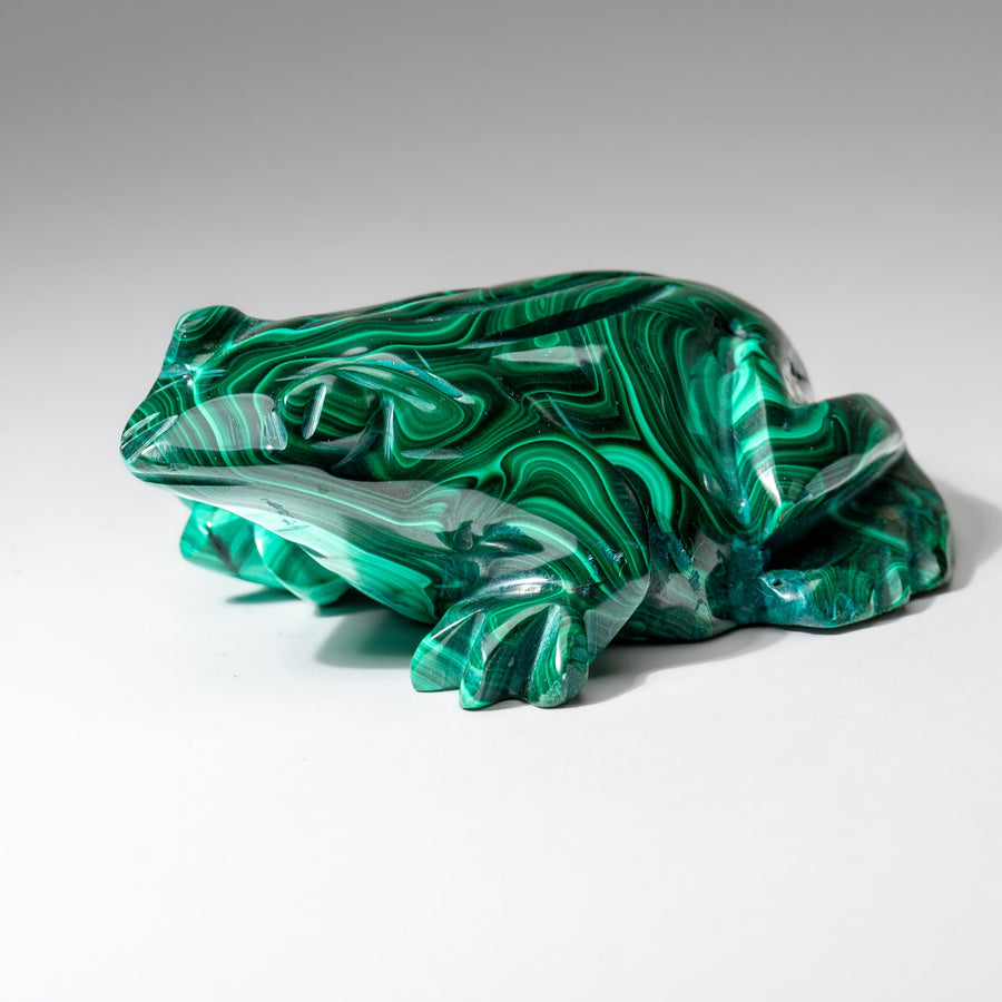 Genuine Polished Malachite Frog Carving (1 lb)