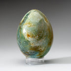 Genuine Polished Ocean Jasper Egg from Madagascar (.9 lbs)