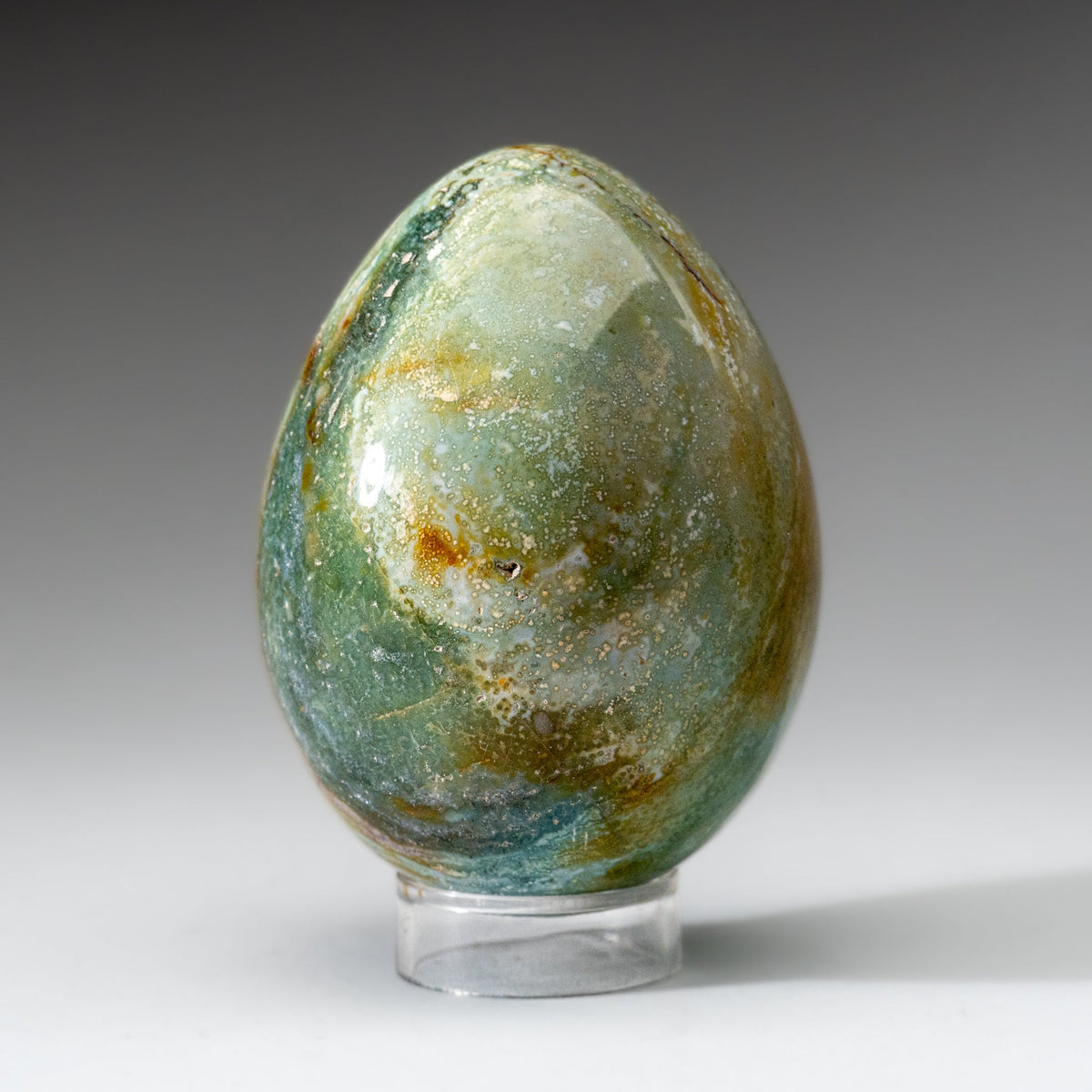 Genuine Polished Ocean Jasper Egg from Madagascar (.9 lbs)