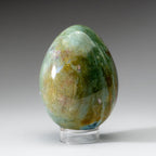 Genuine Polished Ocean Jasper Egg from Madagascar (.9 lbs)