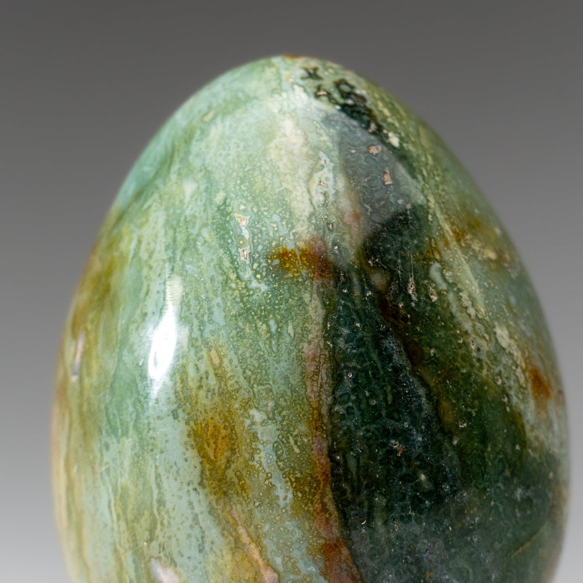 Genuine Polished Ocean Jasper Egg from Madagascar (.9 lbs)