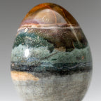 Genuine Polished Ocean Jasper Egg from Madagascar (.7 lbs)