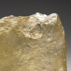 Genuine Libyan Desert Glass (80.5 grams)