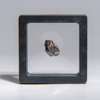 Genuine Sikhote-Alin Meteorite in Display Box
