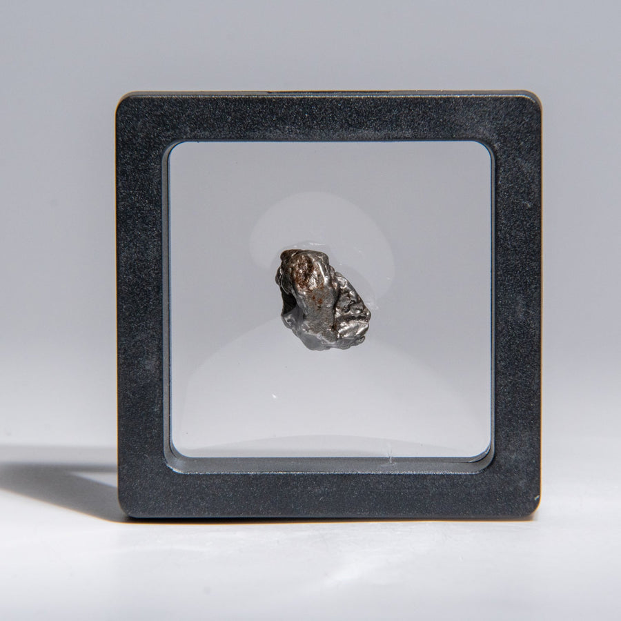 Genuine Sikhote-Alin Meteorite in Display Box