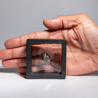Genuine Sikhote-Alin Meteorite in Display Box