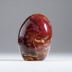 Polished Petrified Wood Freeform from Madagascar (1.1 lbs)