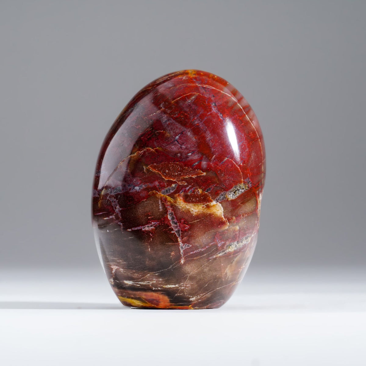 Polished Petrified Wood Freeform from Madagascar (1.1 lbs)