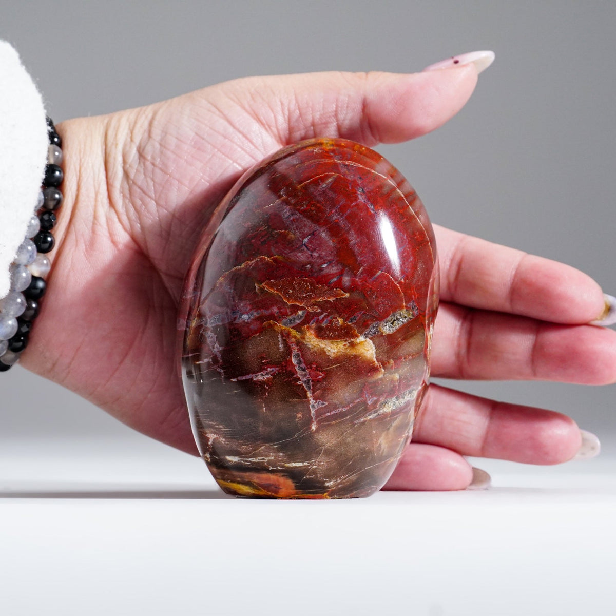 Polished Petrified Wood Freeform from Madagascar (1.1 lbs)