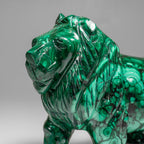 Genuine Polished Malachite Lion Carving (5.2 lbs)