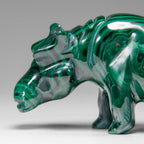 Genuine Polished Malachite Hippo Carving (303.5 grams)