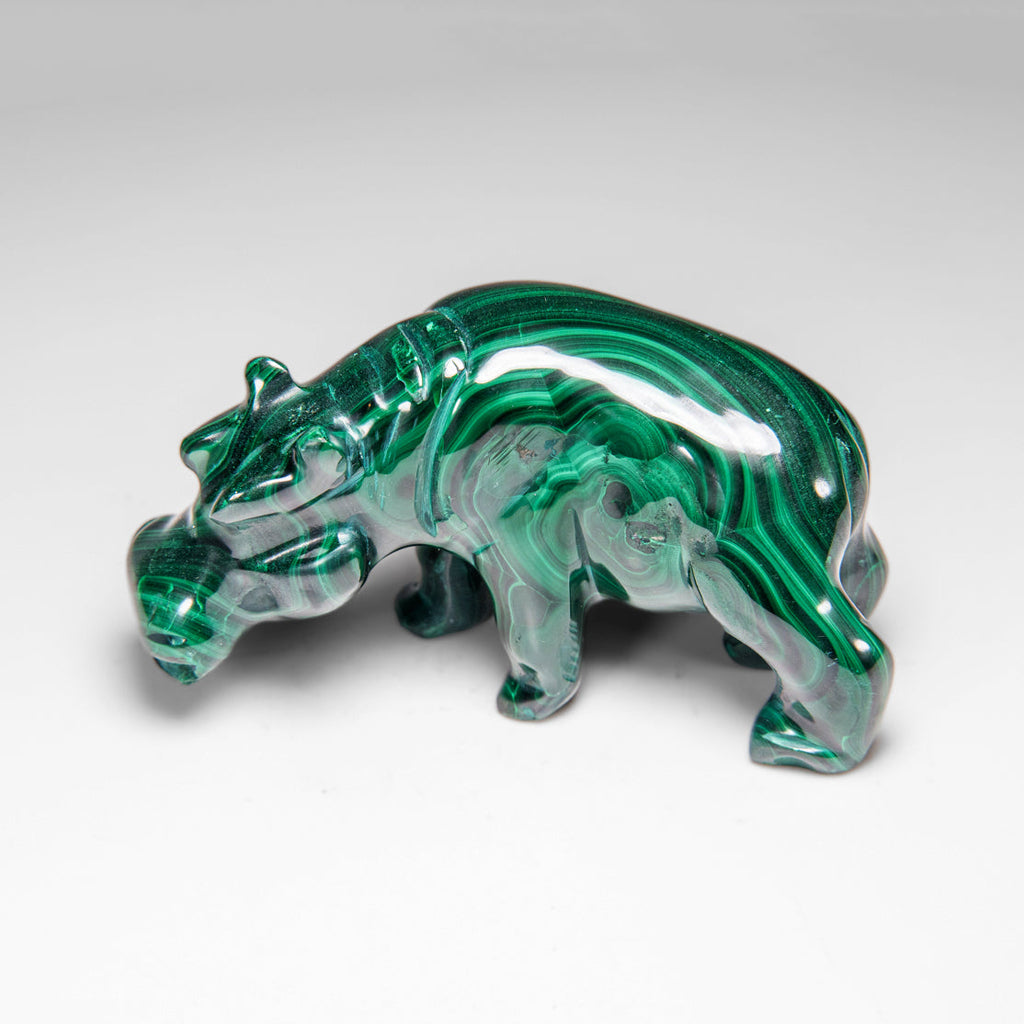 Genuine Polished Malachite Hippo Carving (303.5 grams)