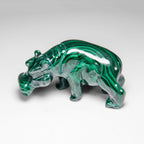 Genuine Polished Malachite Hippo Carving (303.5 grams)
