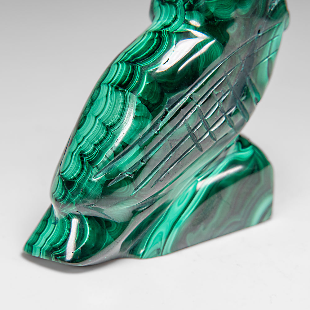 Genuine Polished Malachite Owl Carving (220 grams)