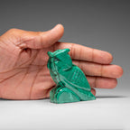 Genuine Polished Malachite Owl Carving (220 grams)