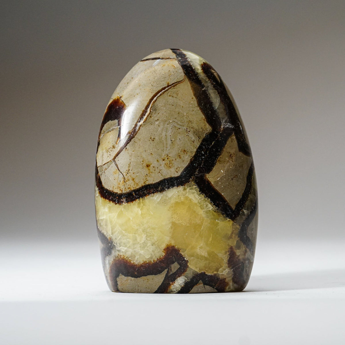 Polished Septarian Freeform from Madagascar (1.4 lbs)