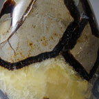 Polished Septarian Freeform from Madagascar (1.4 lbs)
