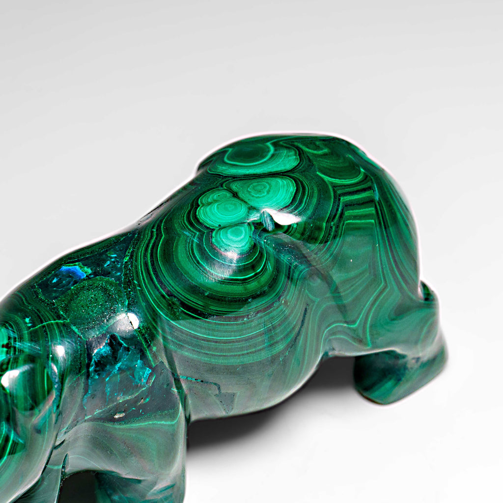 Genuine Polished Malachite Rhino Carving (272.4 grams)