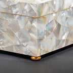 Genuine Large Mother of Pearl Jewelry Box (9.5 lbs)