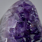 Genuine Amethyst Crystal Cluster from Brazil (318 grams)