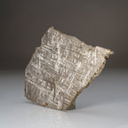 Genuine Muonionalusta Meteorite Slice (332 grams)