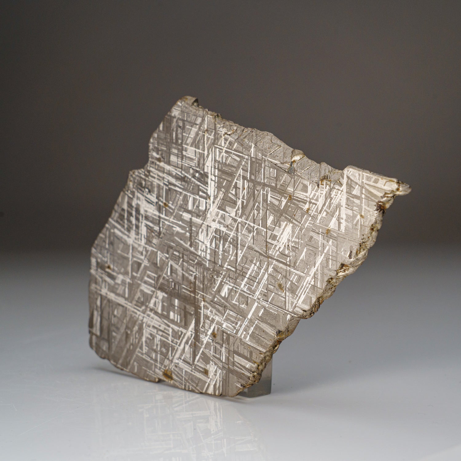 Genuine Muonionalusta Meteorite Slice (332 grams)