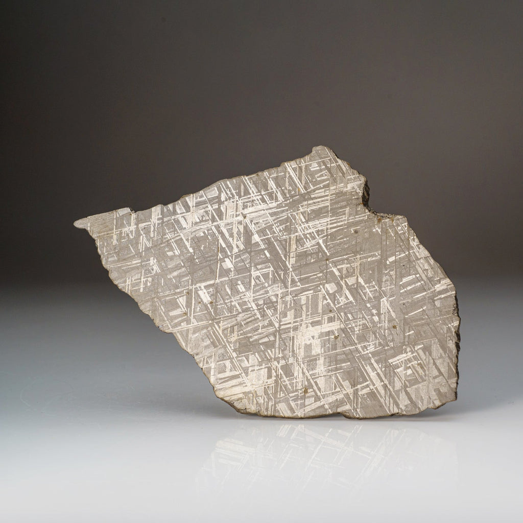 Genuine Muonionalusta Meteorite Slice (332 grams)