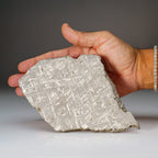 Genuine Muonionalusta Meteorite Slice (332 grams)