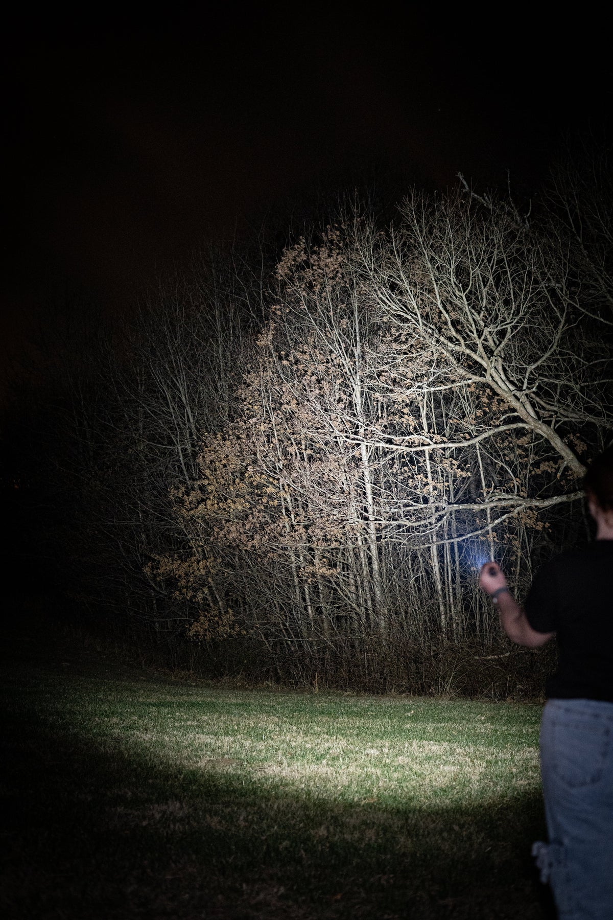 Pollux Flashlight