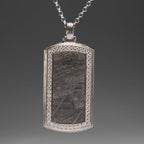 Muonionalusta Meteorite Dog Tag Pendant with 18" Sterling Silver Chain