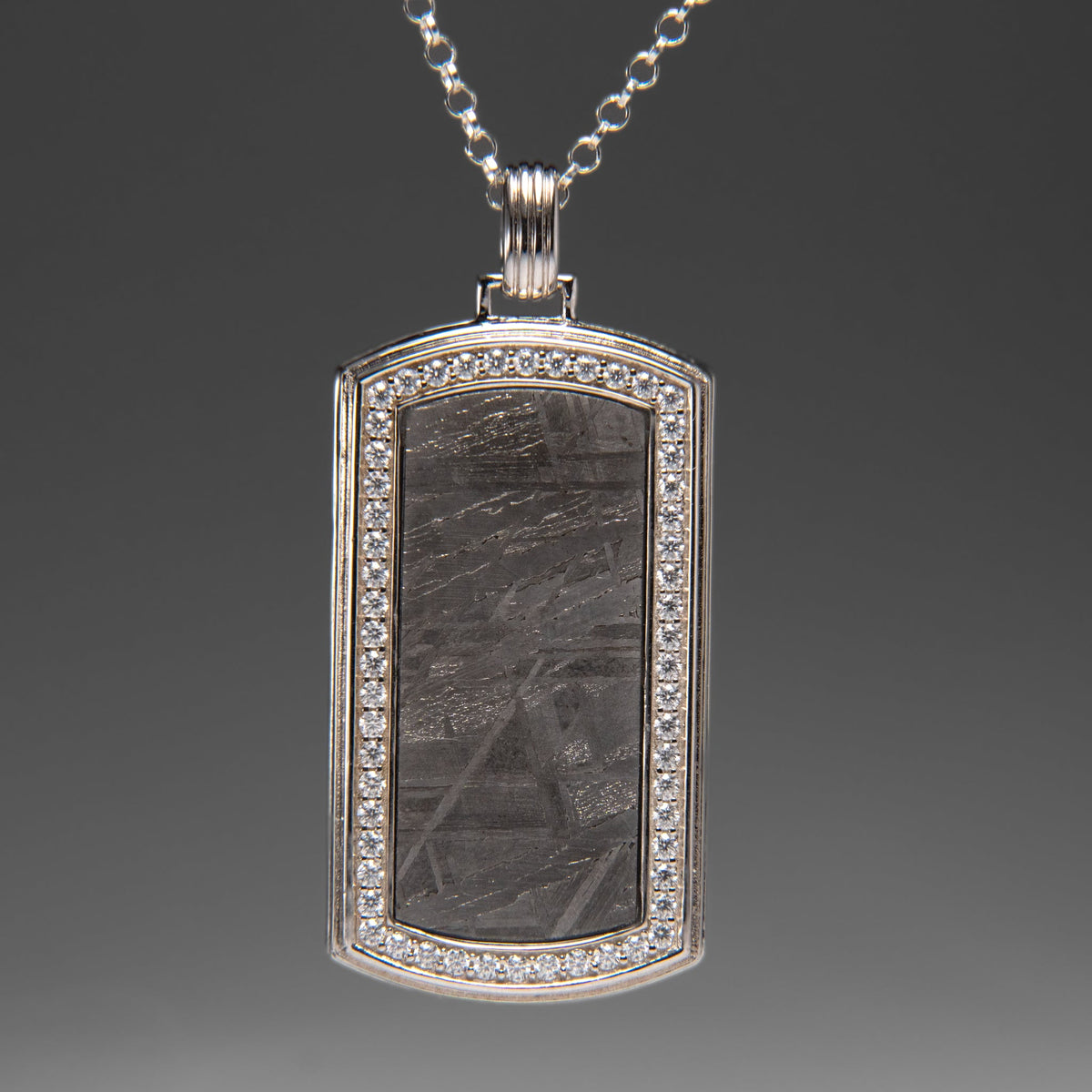 Muonionalusta Meteorite Dog Tag Pendant with 18" Sterling Silver Chain