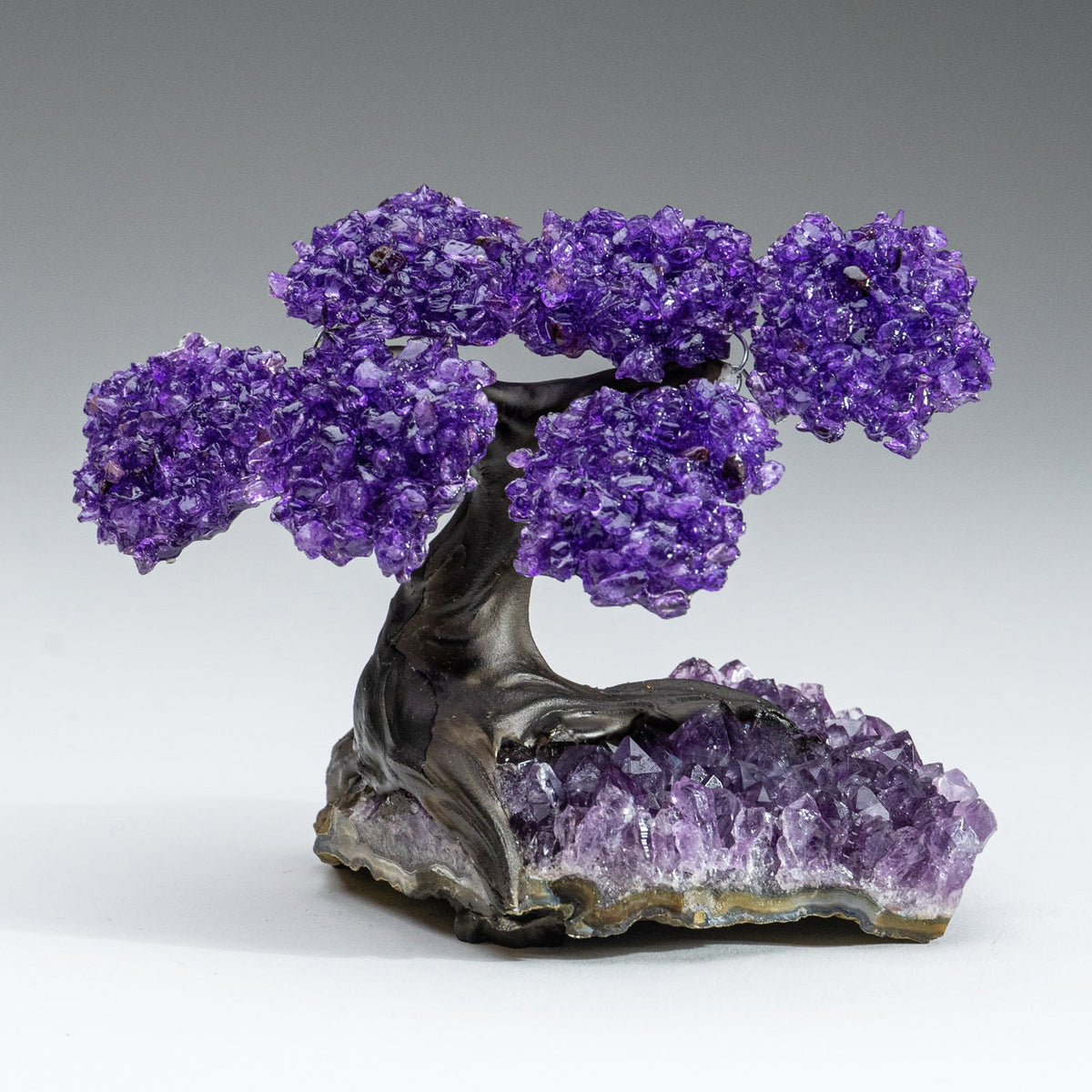 The Protection Tree - Amethyst Clustered Gemstone Tree on Amethyst Matrix (4")