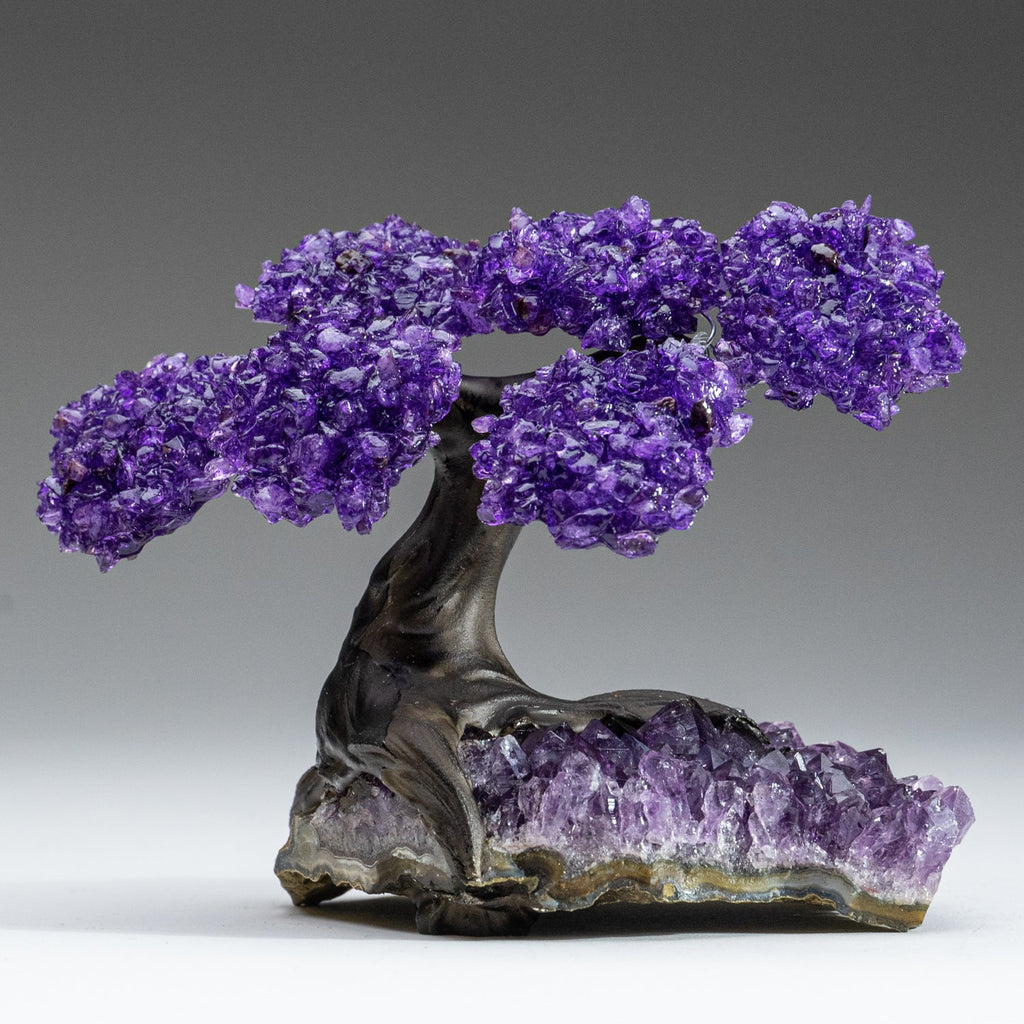 The Protection Tree - Amethyst Clustered Gemstone Tree on Amethyst Matrix (4")