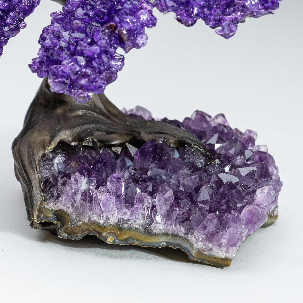 The Protection Tree - Amethyst Clustered Gemstone Tree on Amethyst Matrix (4")