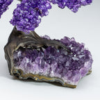 The Protection Tree - Amethyst Clustered Gemstone Tree on Amethyst Matrix (4")