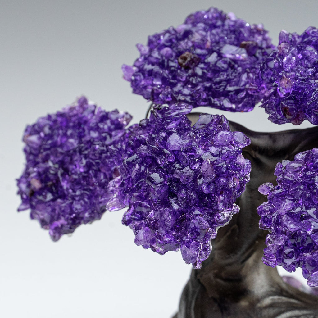 The Protection Tree - Amethyst Clustered Gemstone Tree on Amethyst Matrix (4")