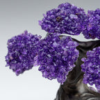 The Protection Tree - Amethyst Clustered Gemstone Tree on Amethyst Matrix (4")