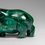 Genuine Polished Malachite Rhino Carving (129.2 grams)
