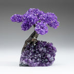 The Protection Tree (Medium) - Amethyst Clustered Gemstone Tree on Amethyst Matrix