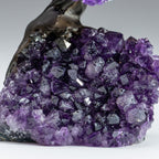 The Protection Tree (Medium) - Amethyst Clustered Gemstone Tree on Amethyst Matrix