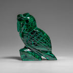 Genuine Polished Malachite Owl Carving (170 grams)