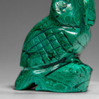 Genuine Polished Malachite Owl Carving (170 grams)